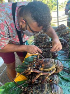 Max Tukana, former Research Assistant, USP PEUMP team, conducting lobster survey at the Suva market. 